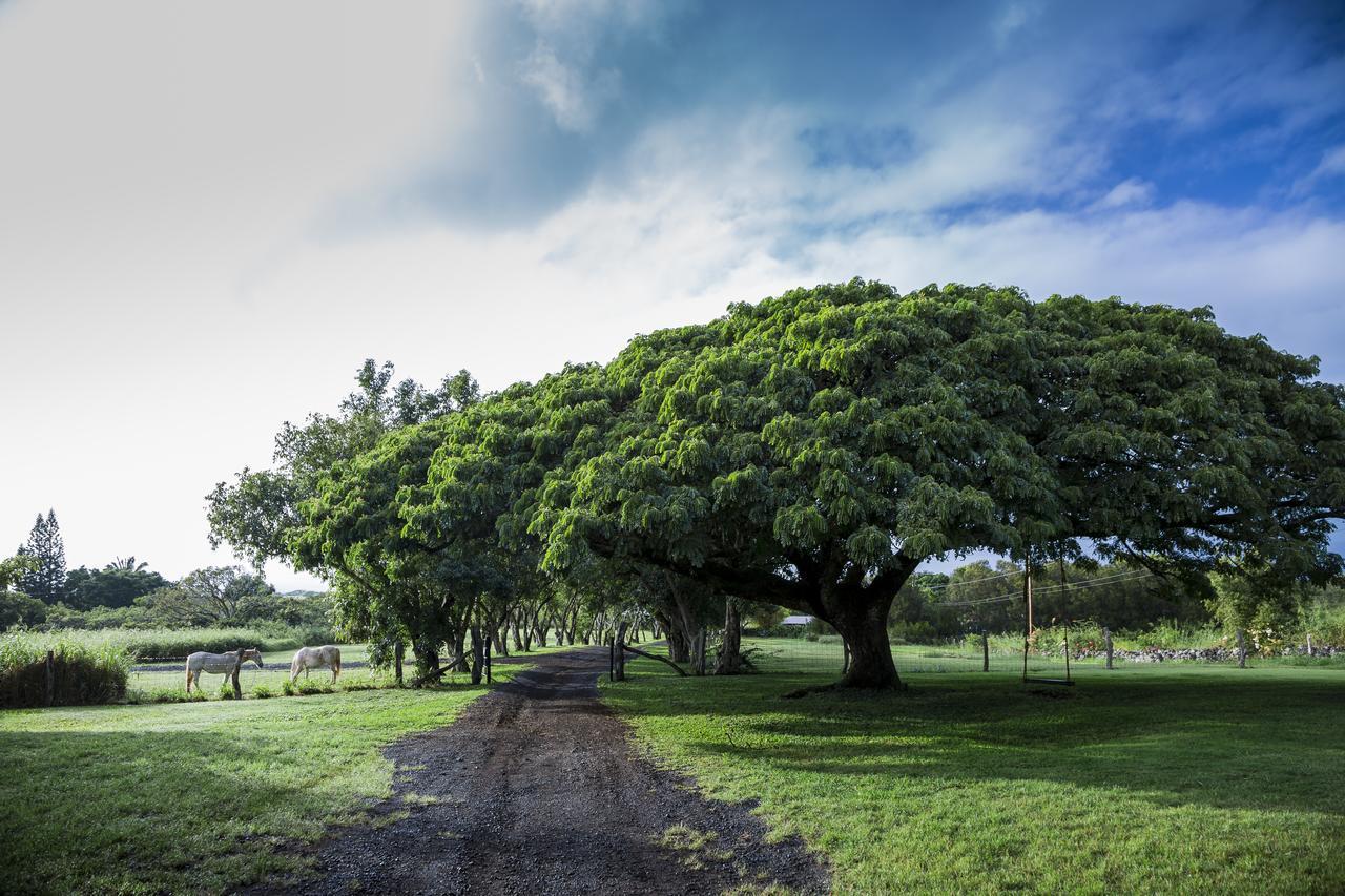 Hotel Puakea Ranch Hawi Exterior foto